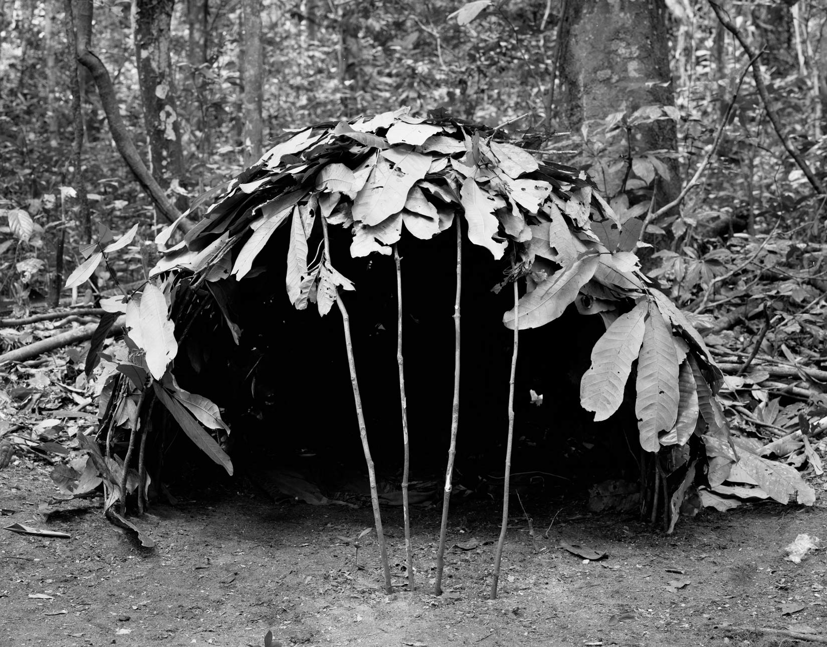 Winfried Bullinger | Official Website Winfried Bullinger | Official Website