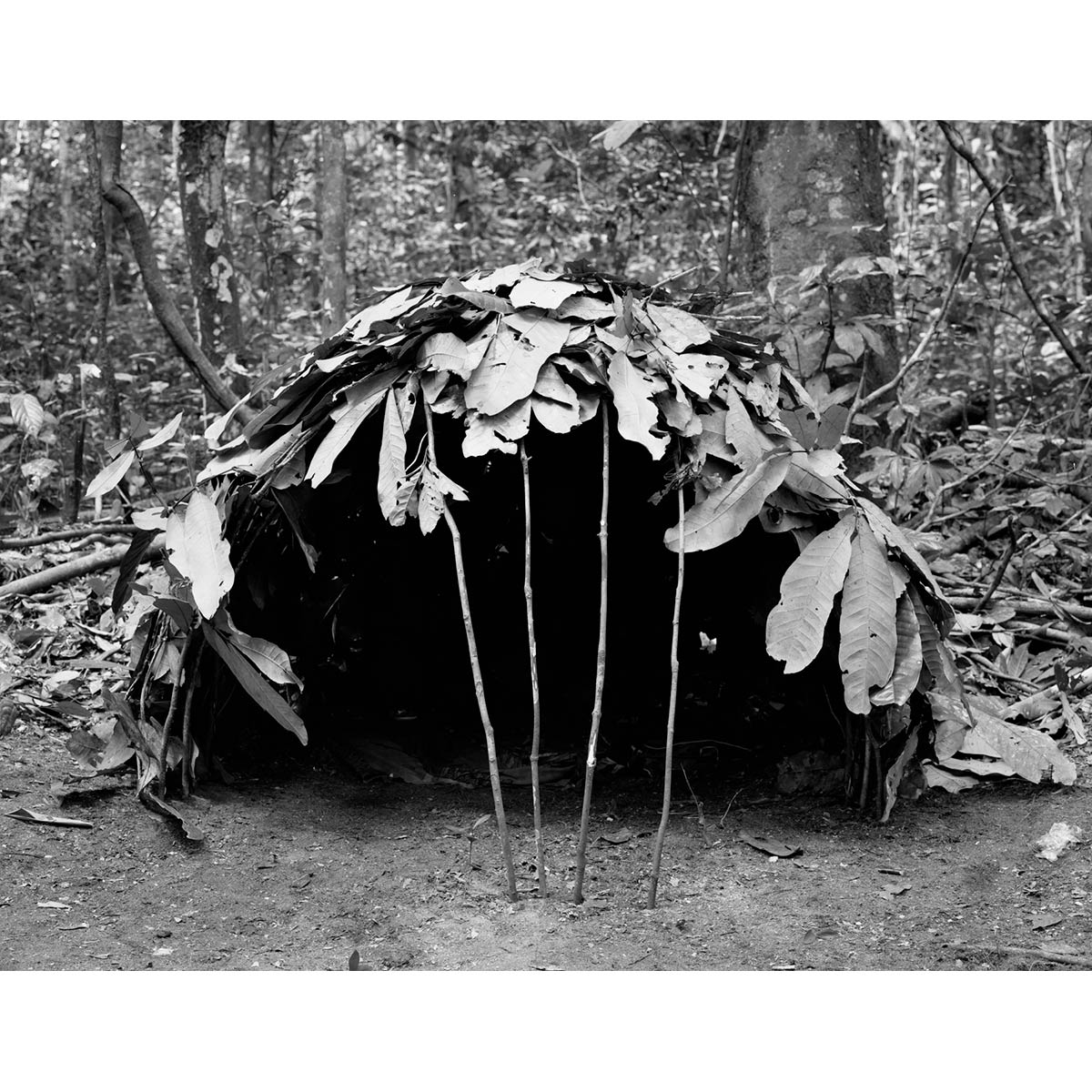 Winfried Bullinger - Structures