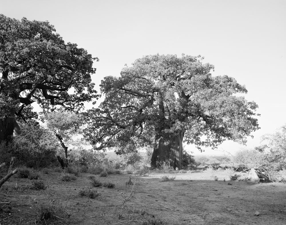 Winfried Bullinger - Savanna around the Lake Eyasi basin, the territory of the Hadza in northern Tanzania