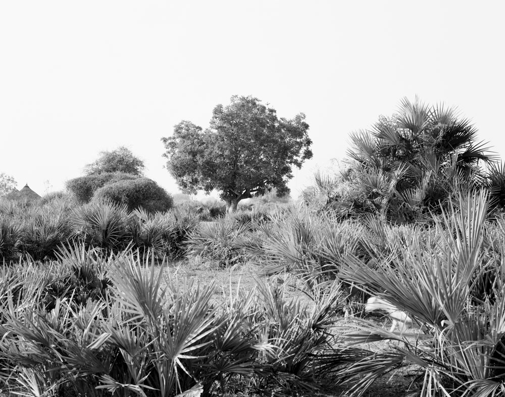 Winfried Bullinger - Settlement area of the Mundari near the Nile River in Central Equatoria Province in South Sudan