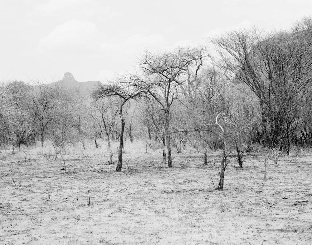 Winfried Bullinger - Scrubland with mountains in the background in Eastern Equatoria province in South Sudan