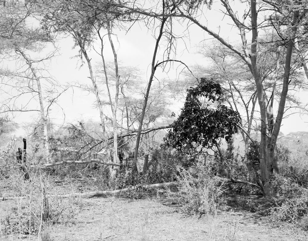Winfried Bullinger - Yabelo Scrubland, territory of the Borana in the Oromo province in southern Ethiopia