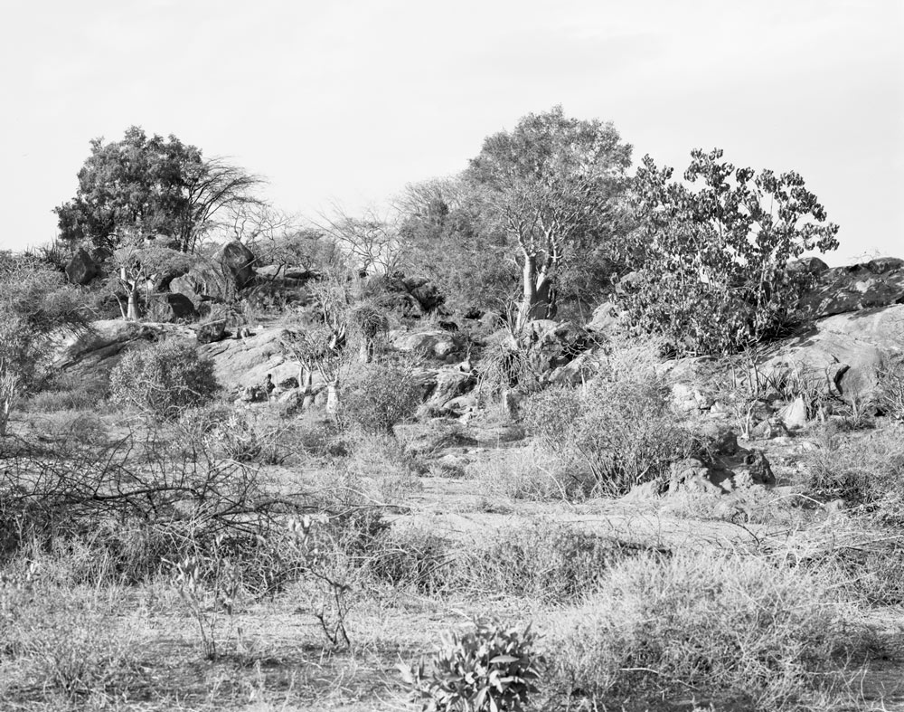 Winfried Bullinger - Savanna near Tumi, the territory of the Hamer in southern Ethiopia