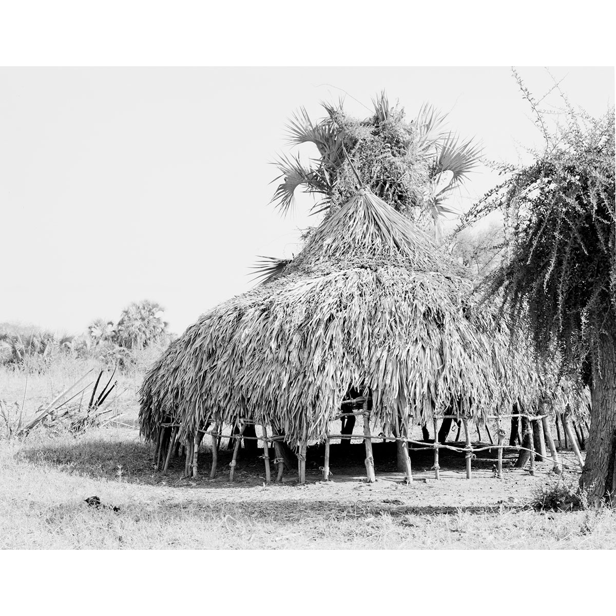 © Winfried Bullinger