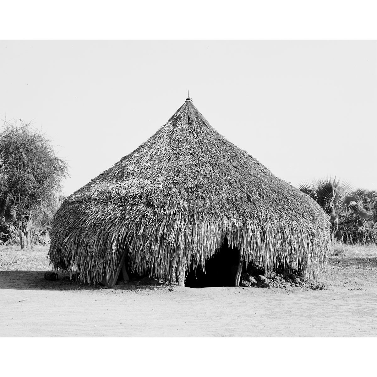 © Winfried Bullinger