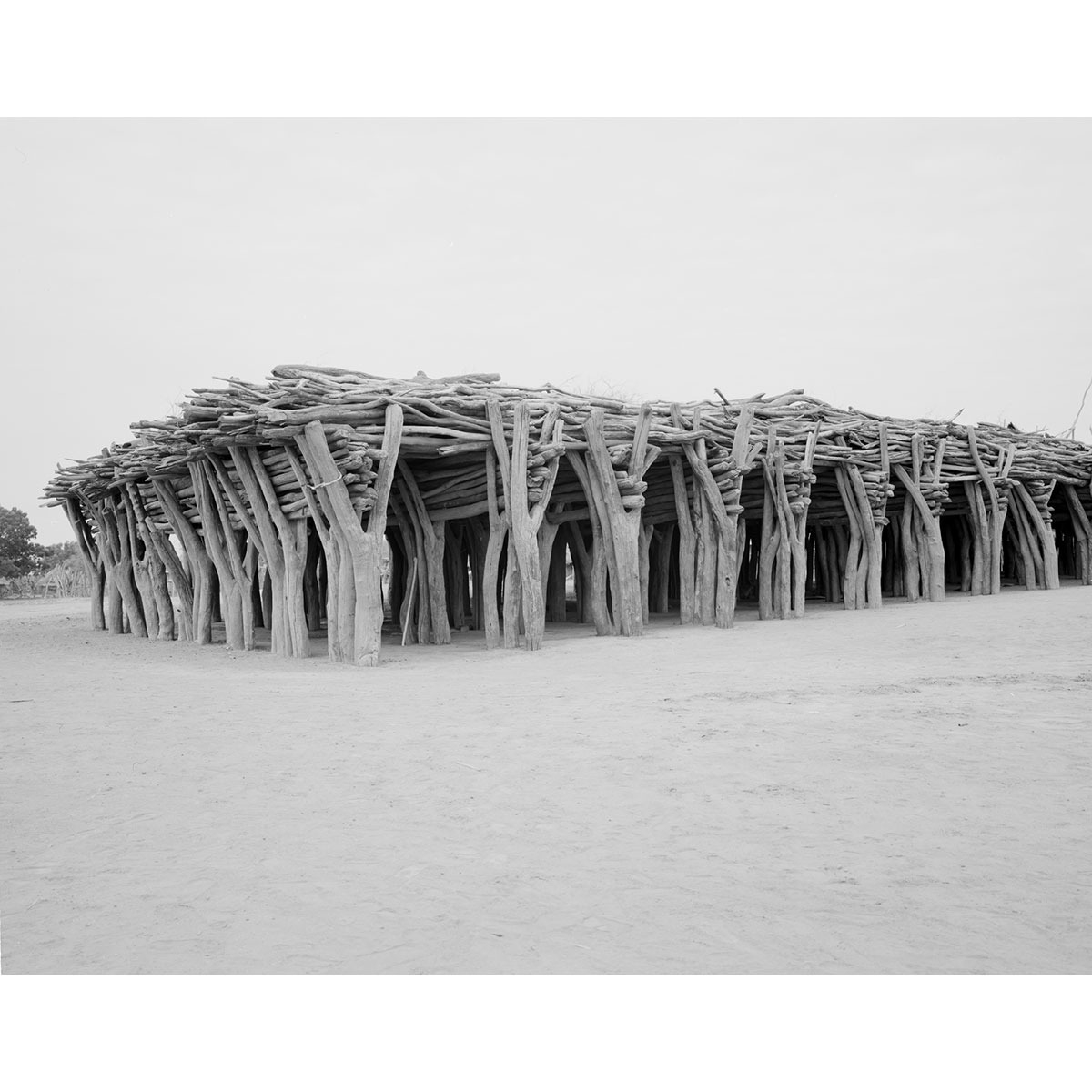 © Winfried Bullinger