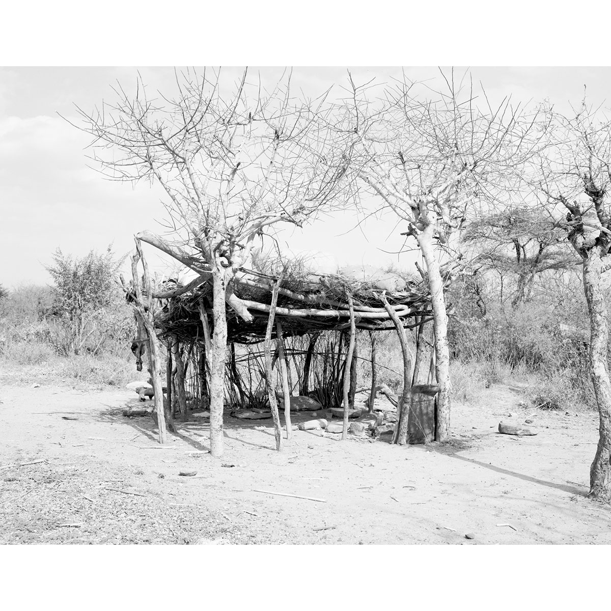 © Winfried Bullinger