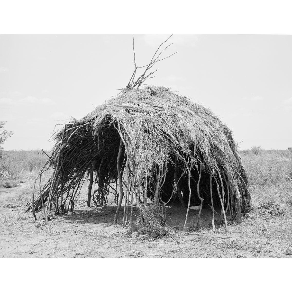 © Winfried Bullinger