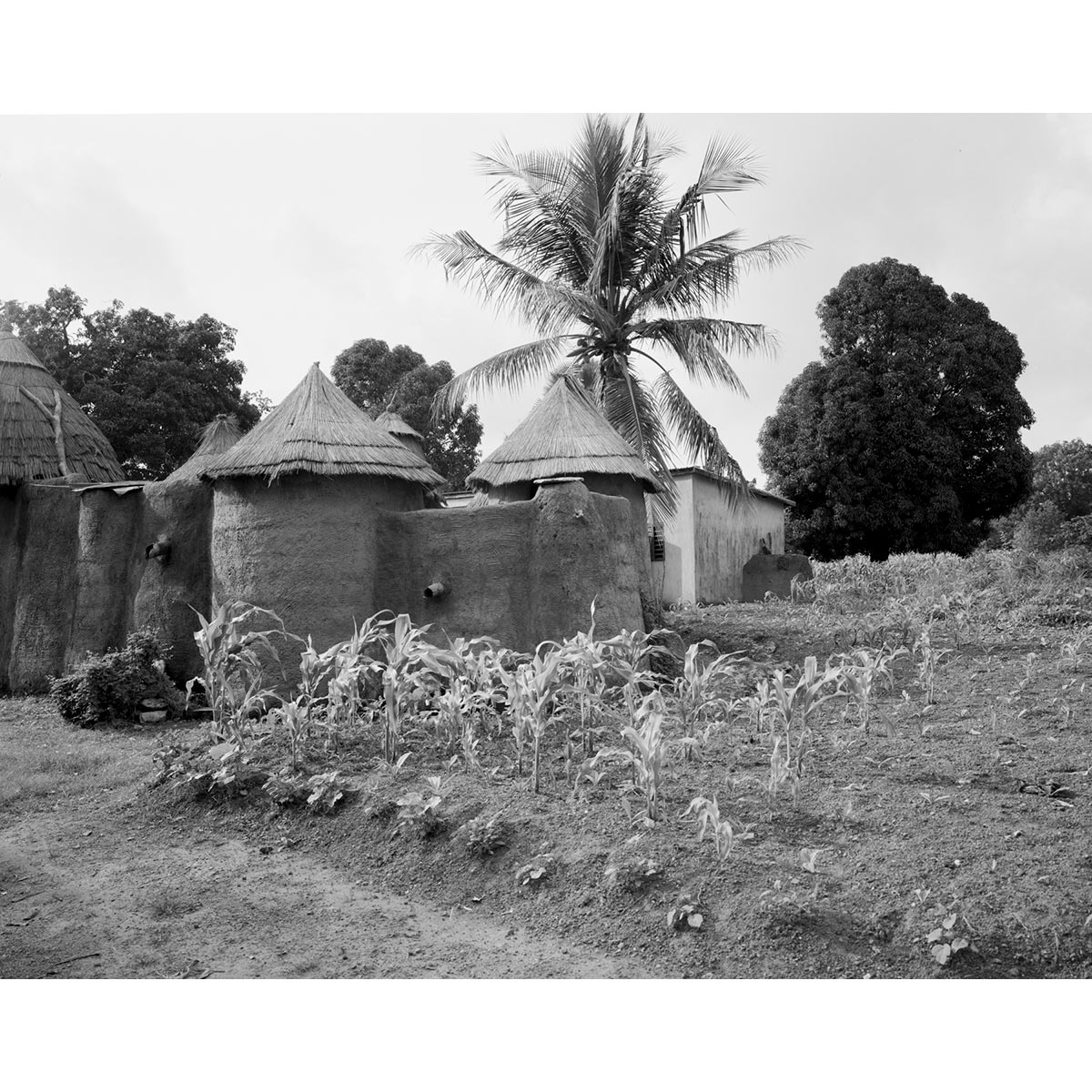 © Winfried Bullinger