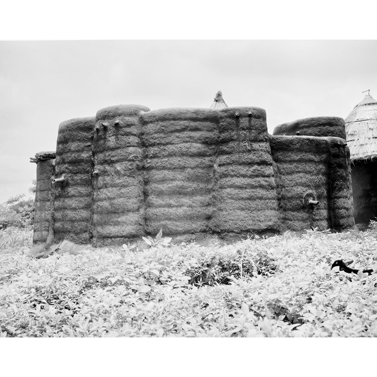 © Winfried Bullinger