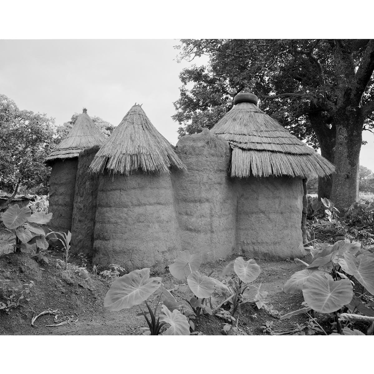 © Winfried Bullinger