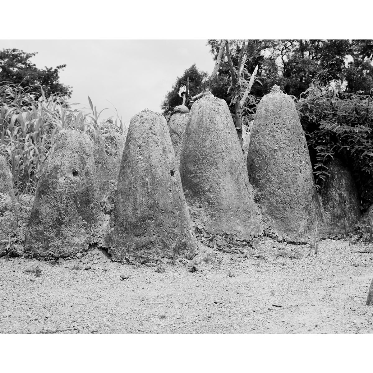 © Winfried Bullinger