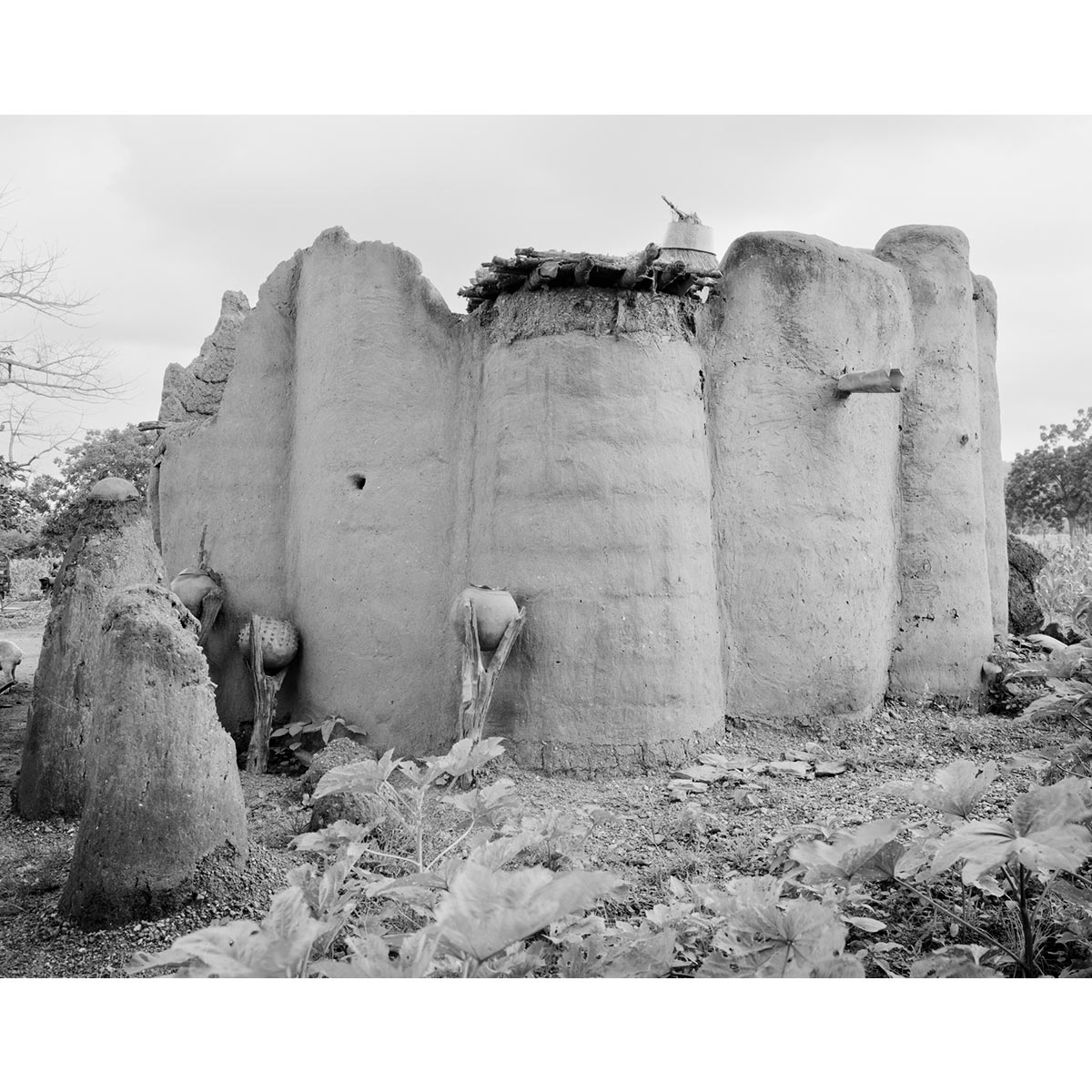 © Winfried Bullinger