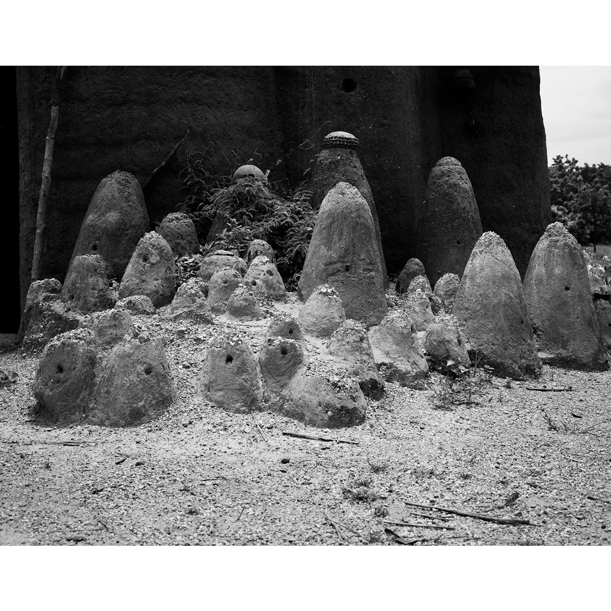 © Winfried Bullinger