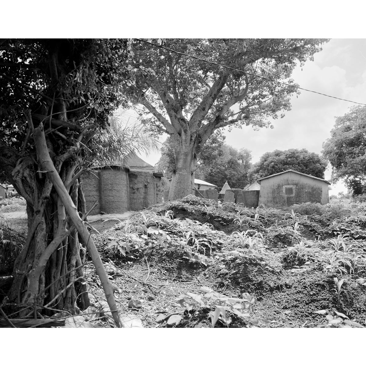 © Winfried Bullinger