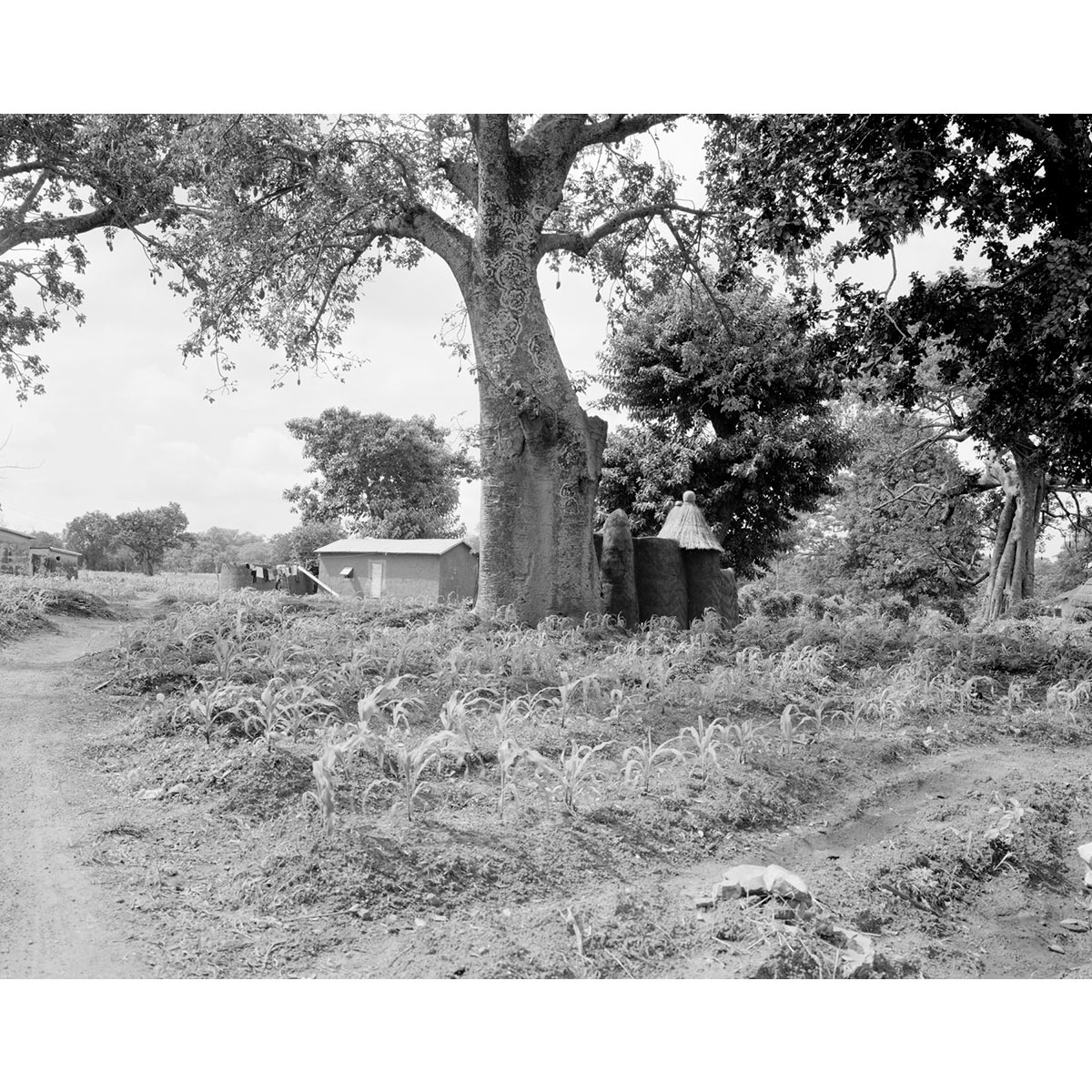 © Winfried Bullinger