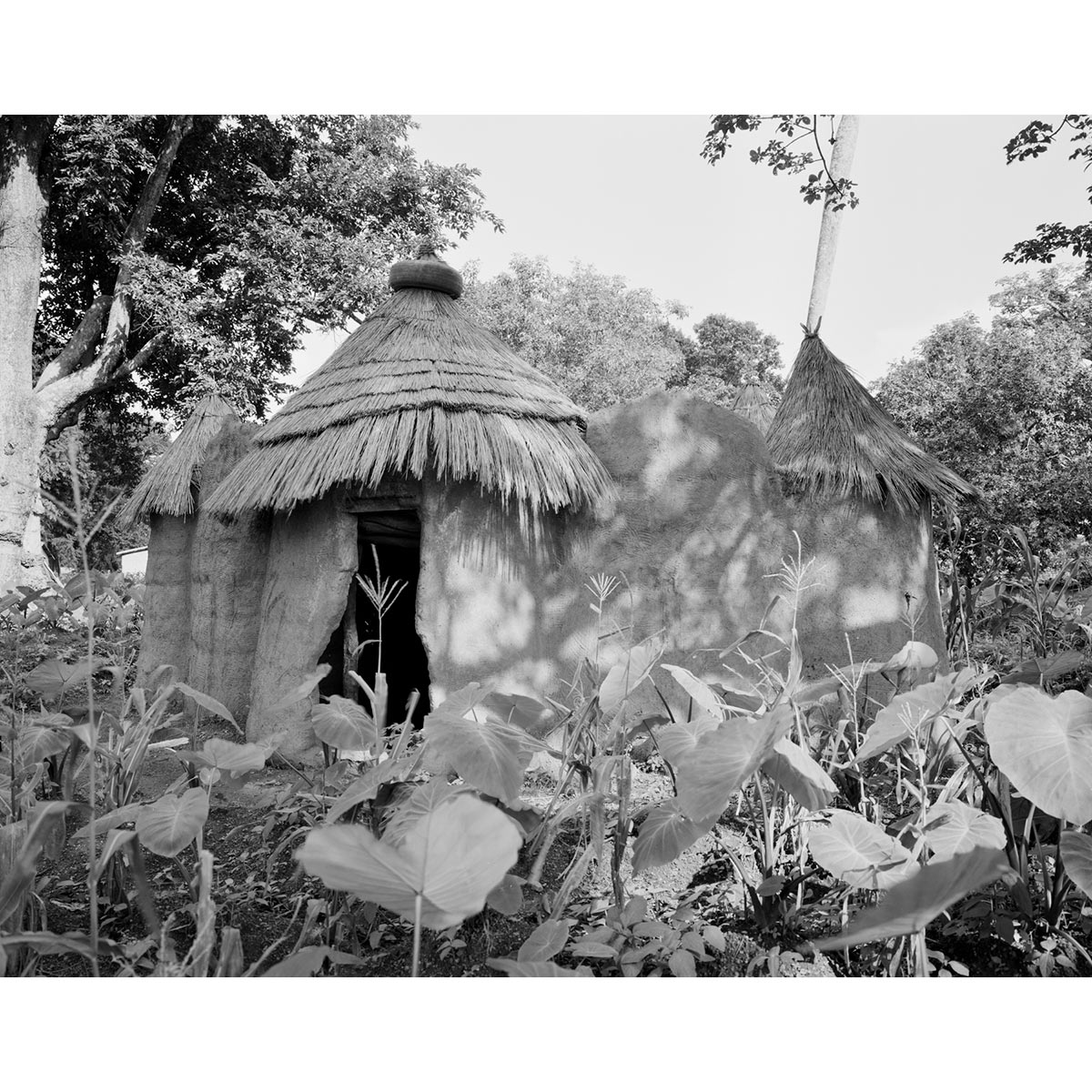 © Winfried Bullinger