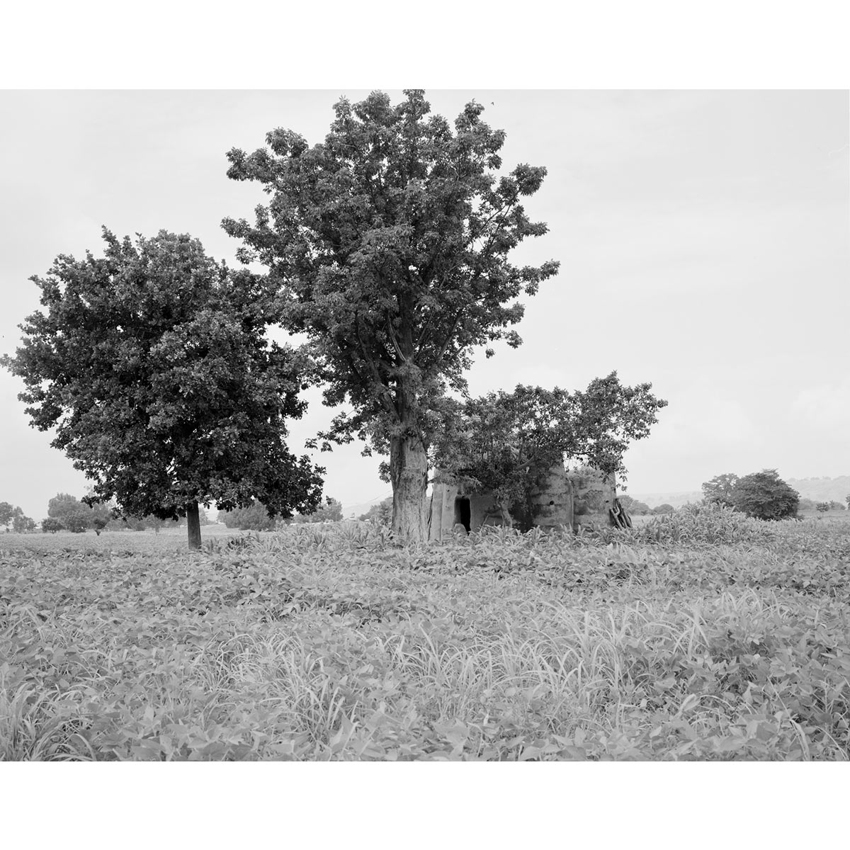 © Winfried Bullinger