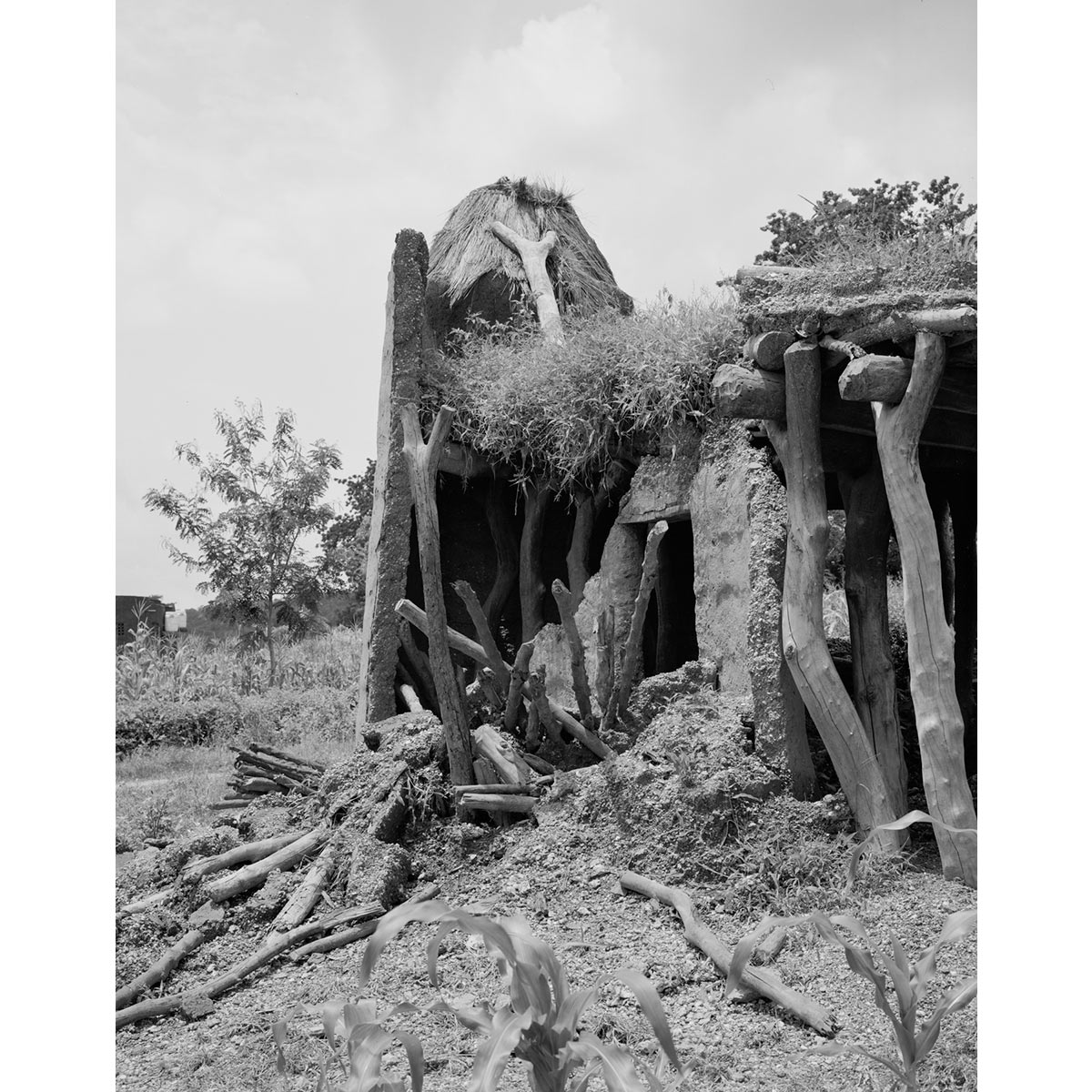 © Winfried Bullinger