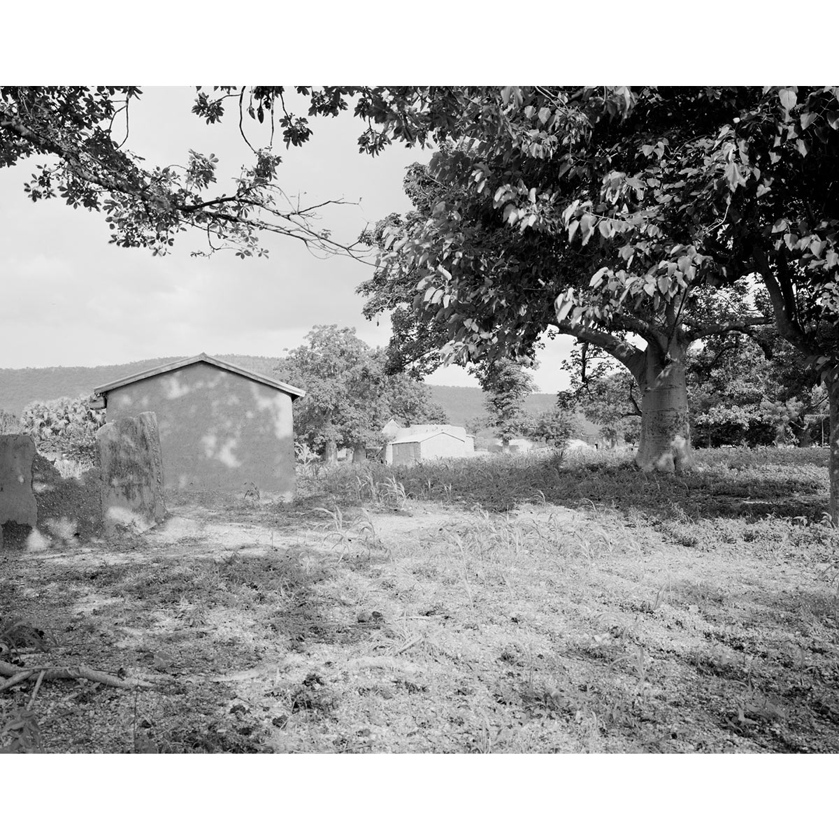 © Winfried Bullinger