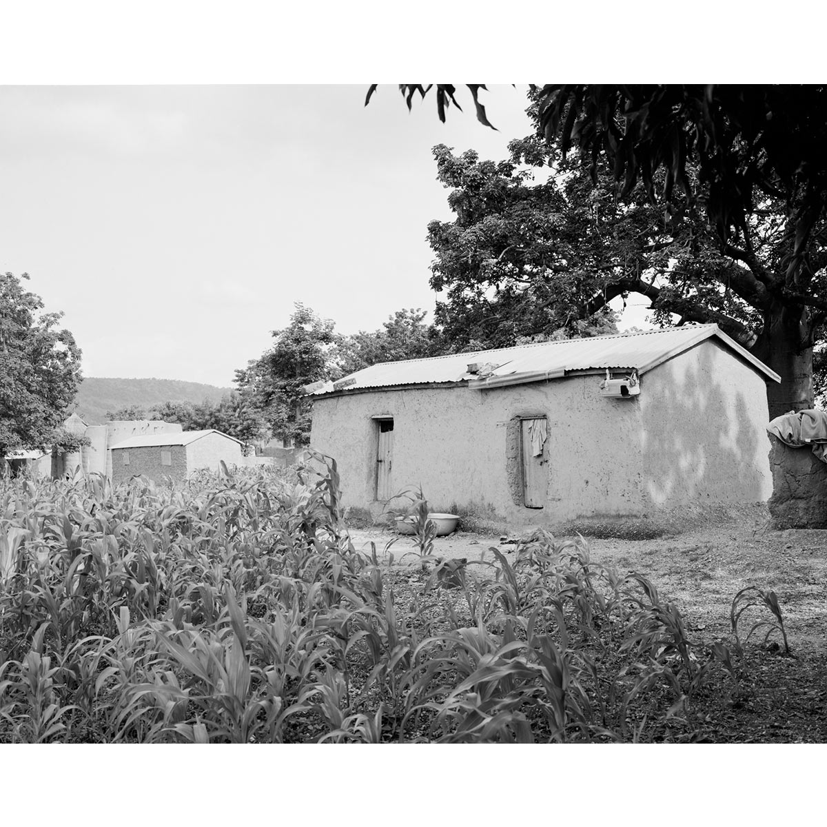 © Winfried Bullinger