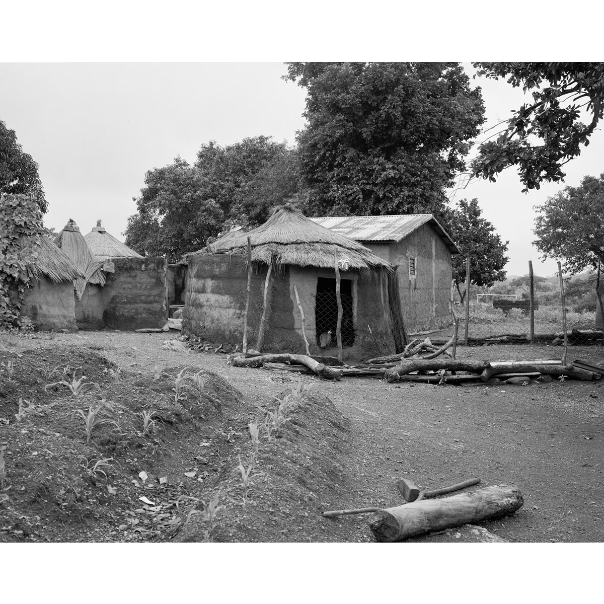 © Winfried Bullinger