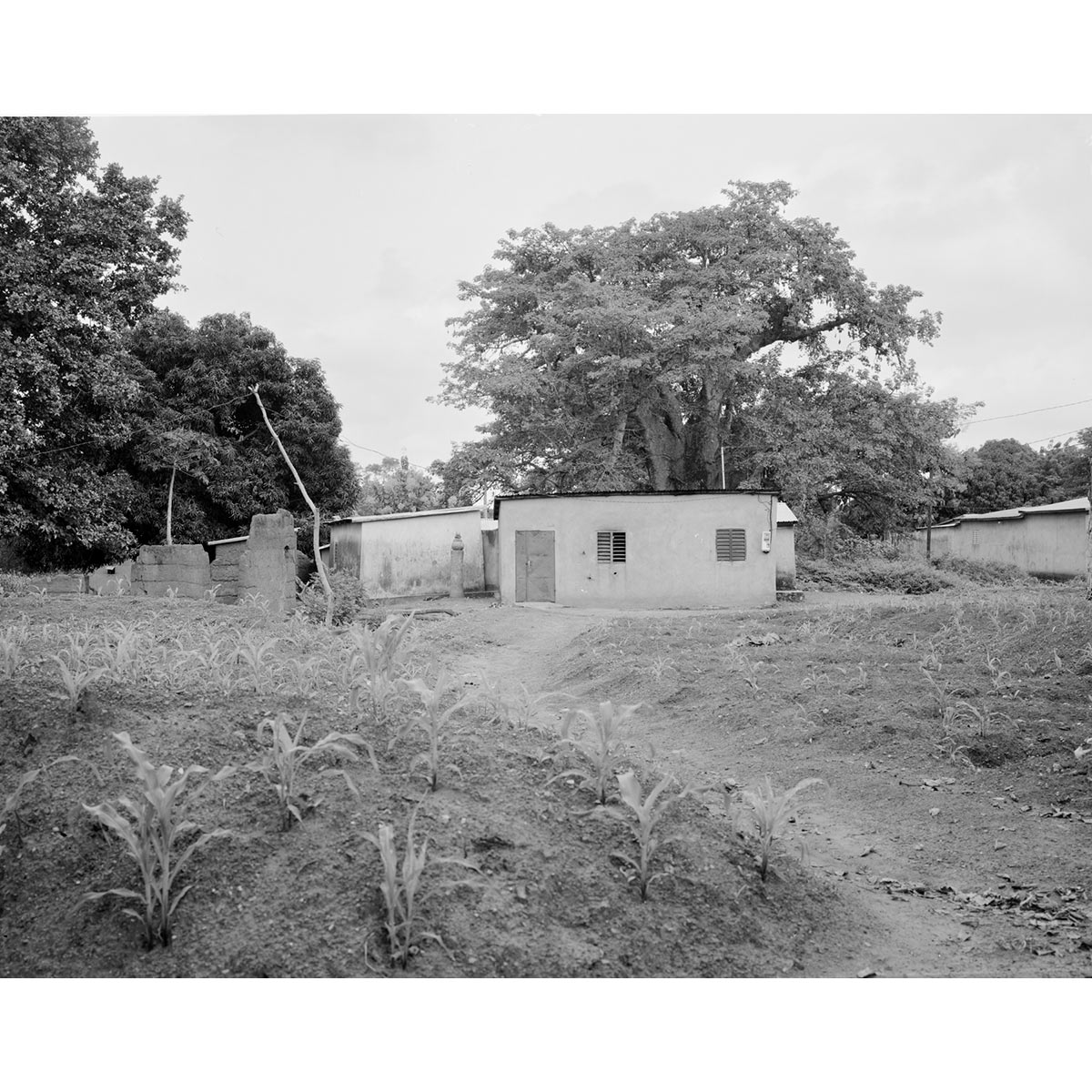 © Winfried Bullinger