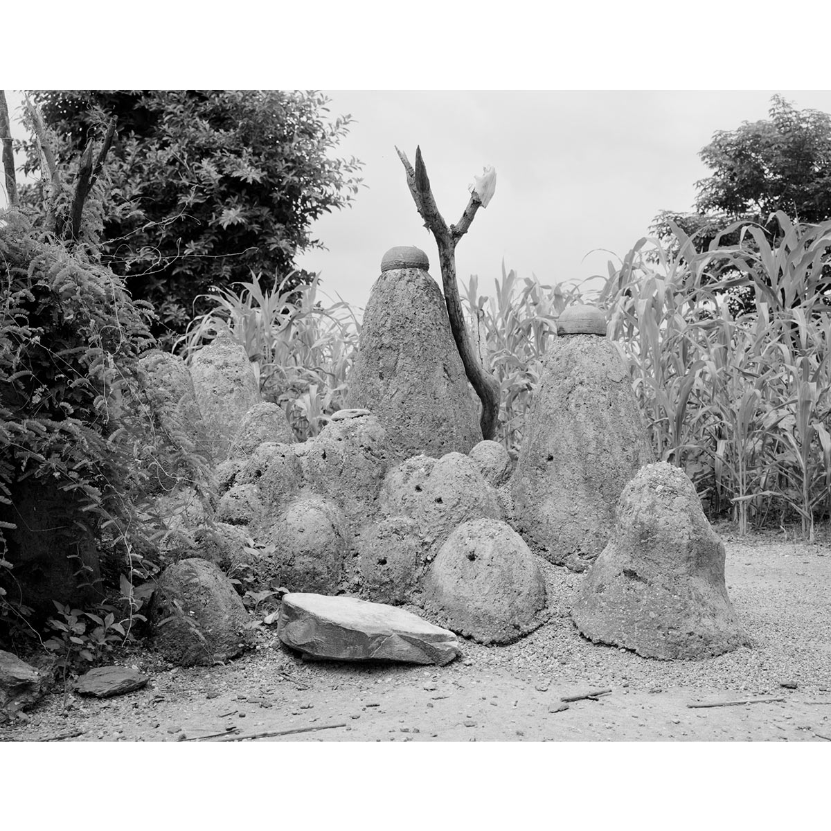 © Winfried Bullinger