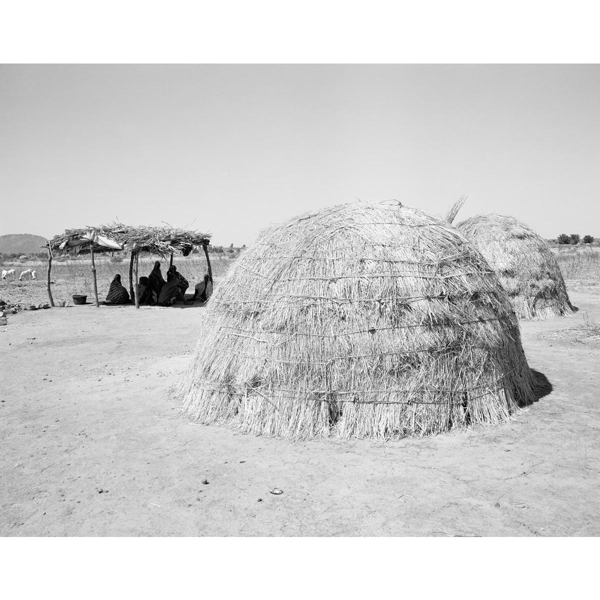 © Winfried Bullinger