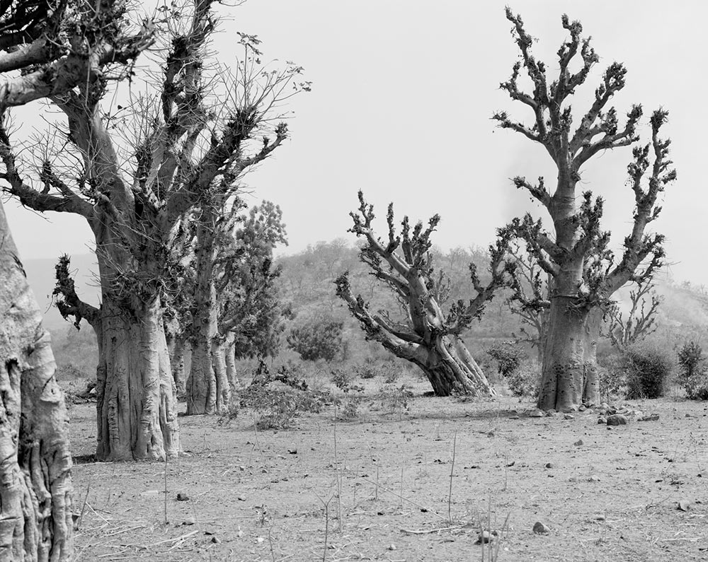 Winfried Bullinger - Nubian landscape in the region of Karima near the Nile in Sudan