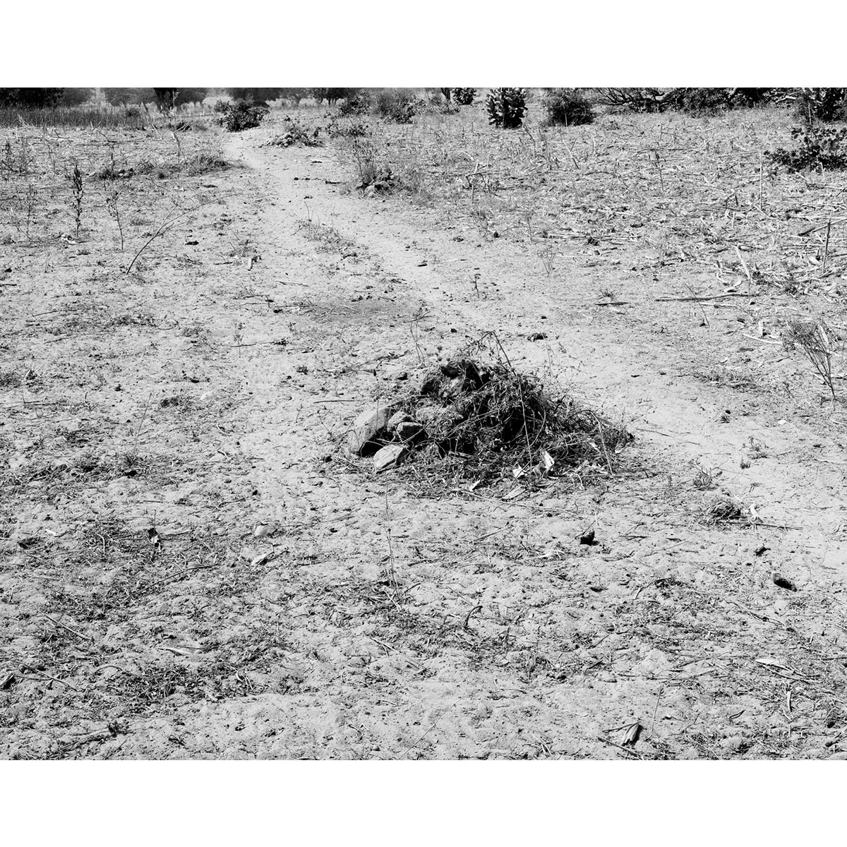 © Winfried Bullinger