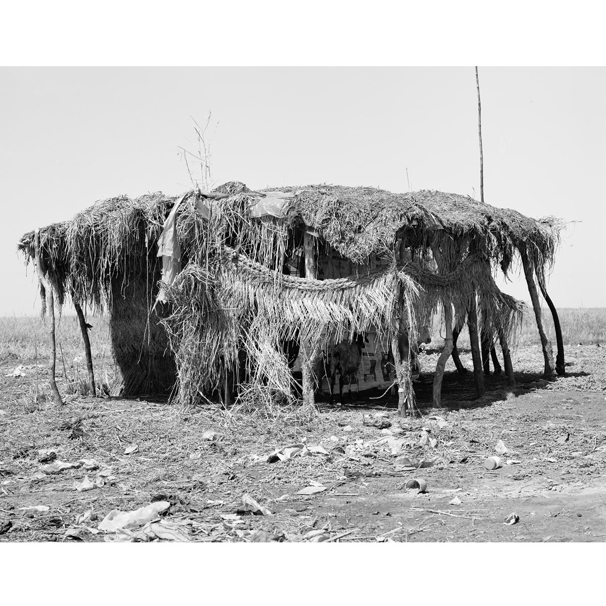 © Winfried Bullinger