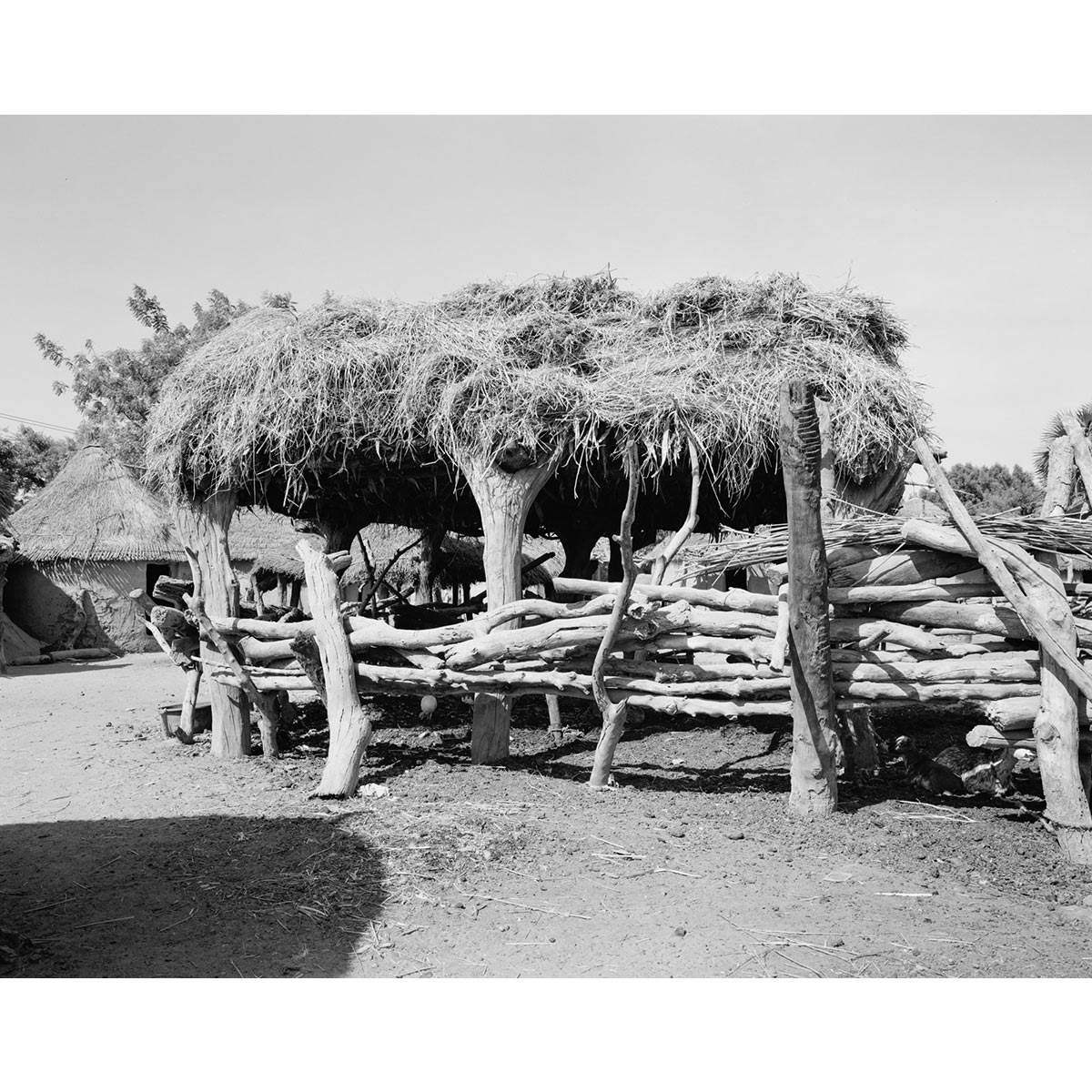 © Winfried Bullinger