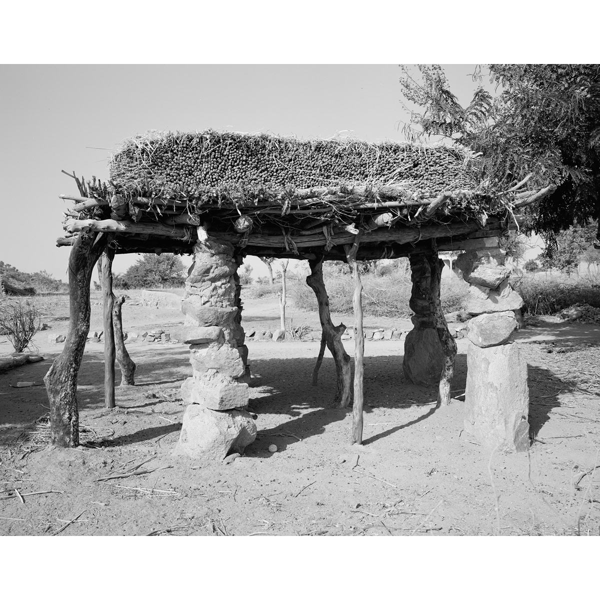 © Winfried Bullinger