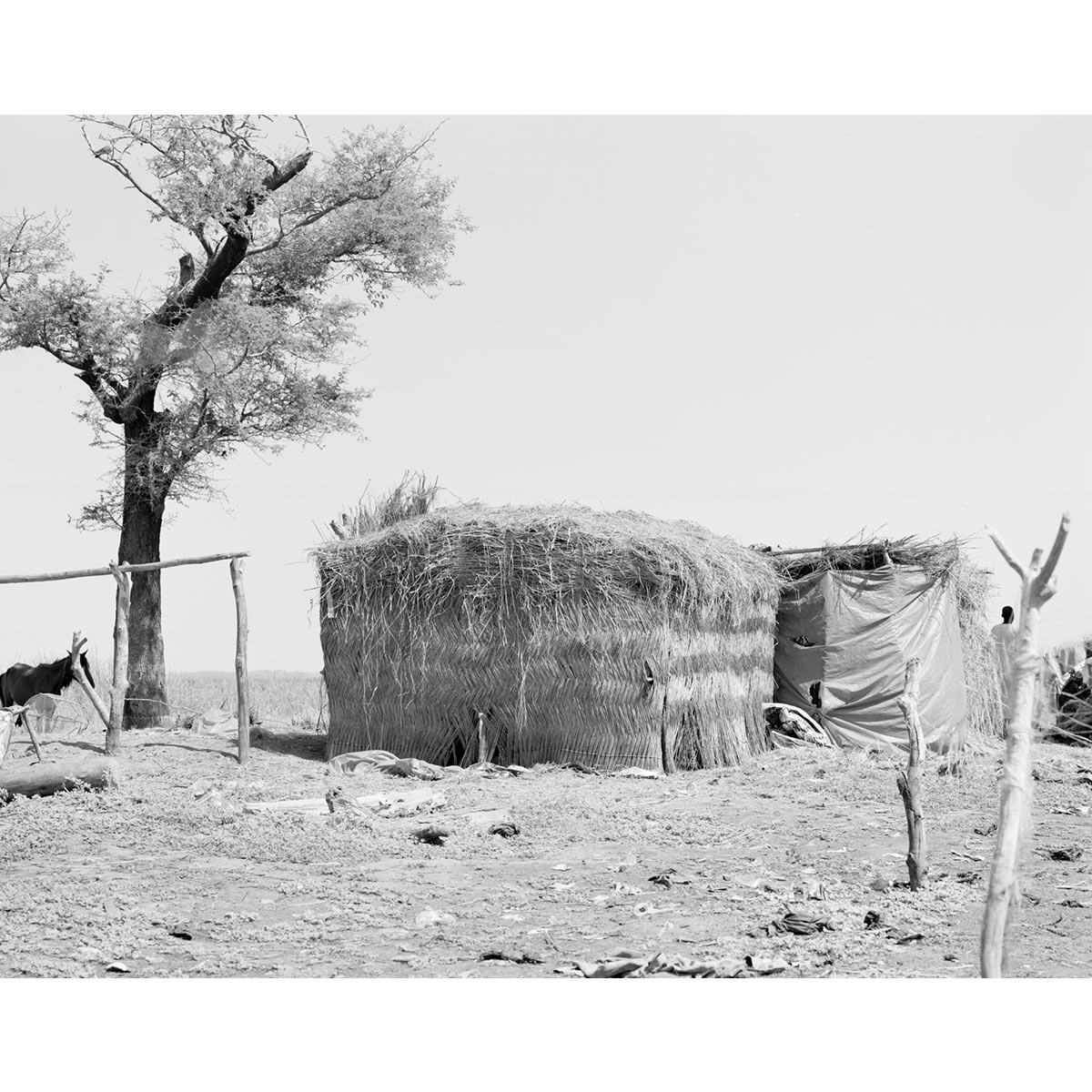 © Winfried Bullinger