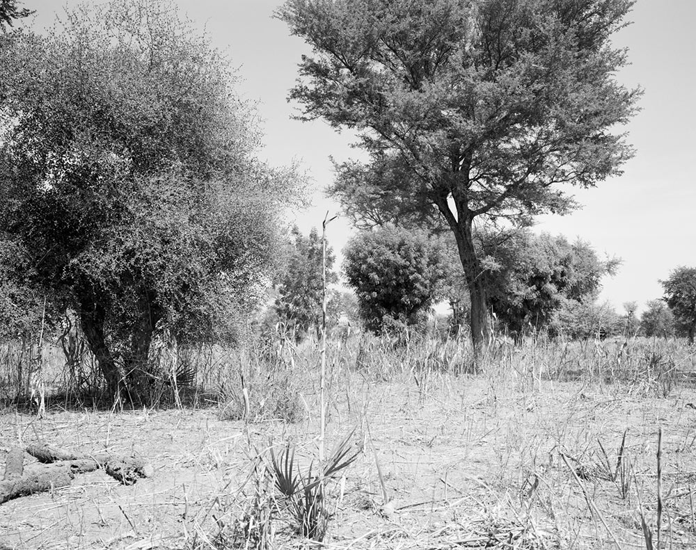 Nubian landscape in the region of Karima near the Nile in Sudan © Winfried Bullinger Winfried Bullinger - Nubian landscape in the region of Karima near the Nile in Sudan