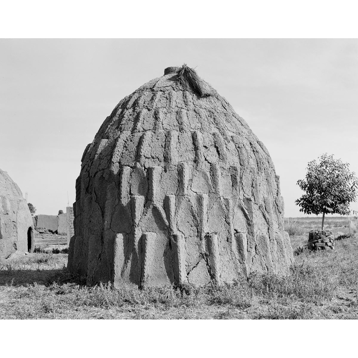 Winfried Bullinger - Musgum